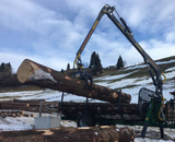 Huge logs being lifting by the FARMA 5.3D crane on an 8 ton forestry trailer.
